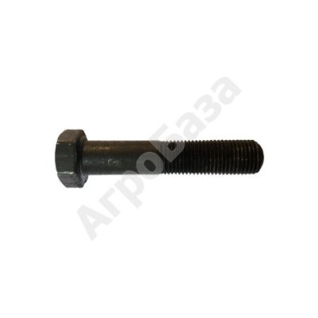 Гвинт кріплення вантажу балансувального М12 190N/195N (10/12 к.с.)